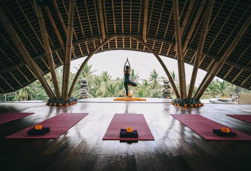 민박 Kuwarasan A Pramana Experience