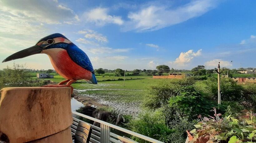 فندق Ibishouse Farm Stay