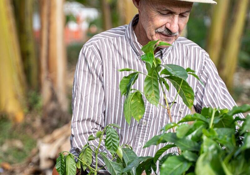 هتل Muchosur Quimbaya