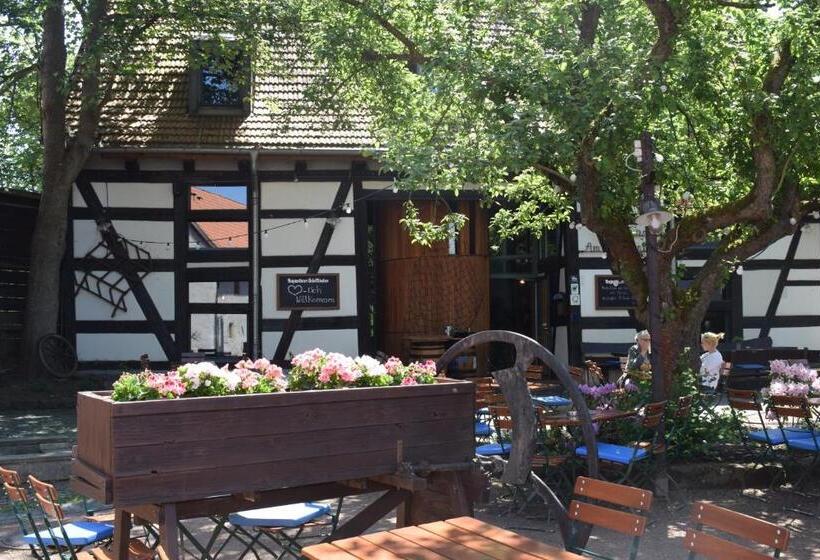 بنسيون Gasthof Gästehaus Am Storchenturm