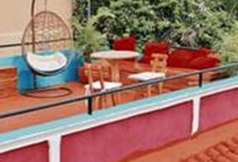 هاستل Casa Mamá Waldy New