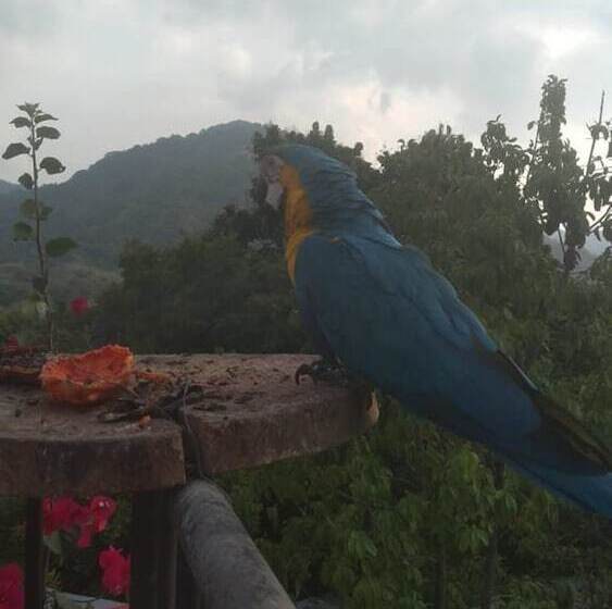 The Chill Out Hostel