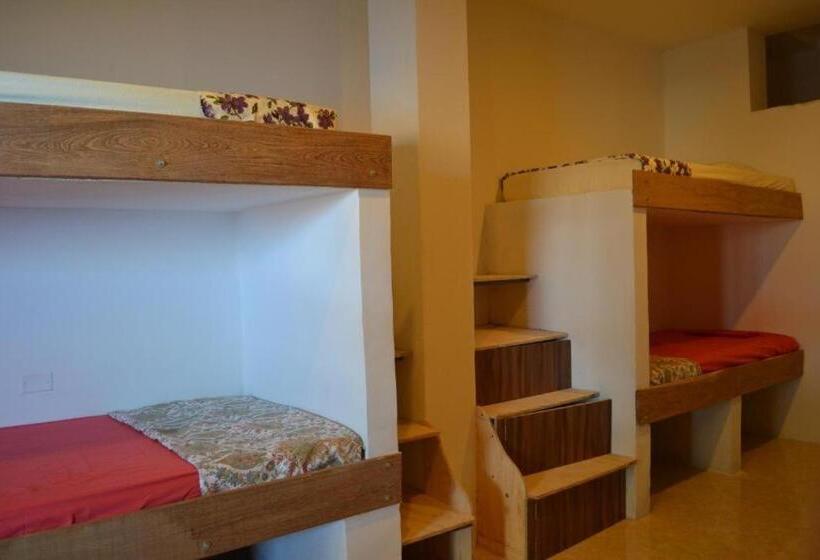 هاستل Tnt Mirador