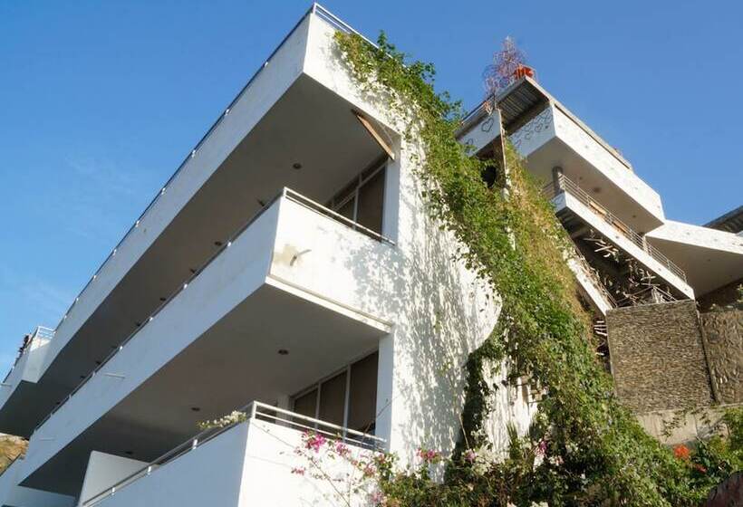 هاستل Tnt Mirador