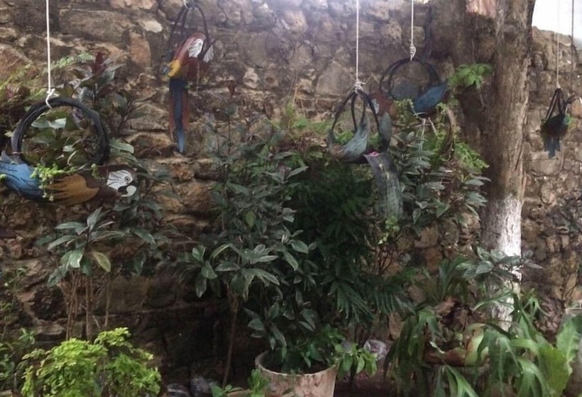 هتل Boutique Casa Berastegui