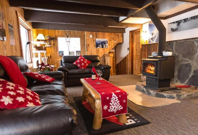 فندق Red Shutter Inn
