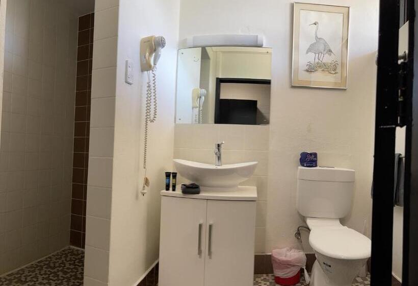 모텔 Jumbuck Motor Inn   Pool   Pet Friendly Section   King Beds