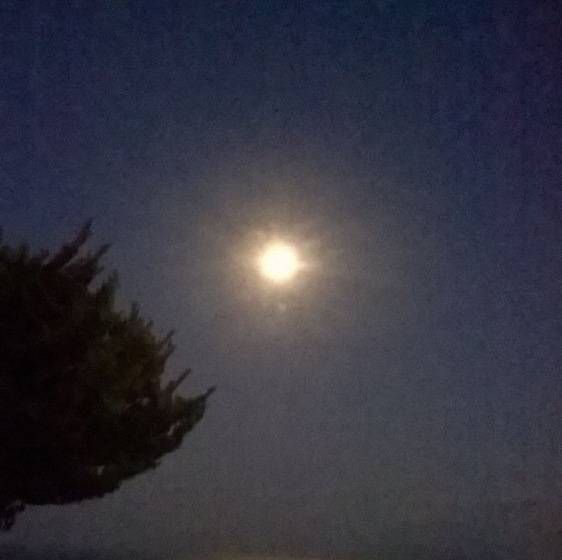 Pension Villa Koronios