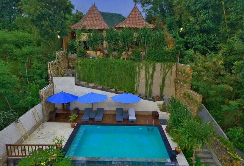 پانسیون Yoki S Bungalow