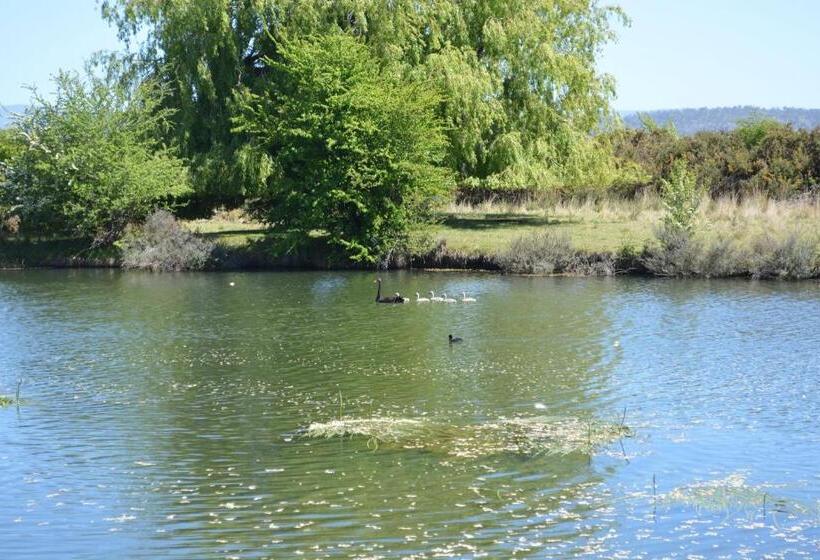 فندق Riverview At Ross