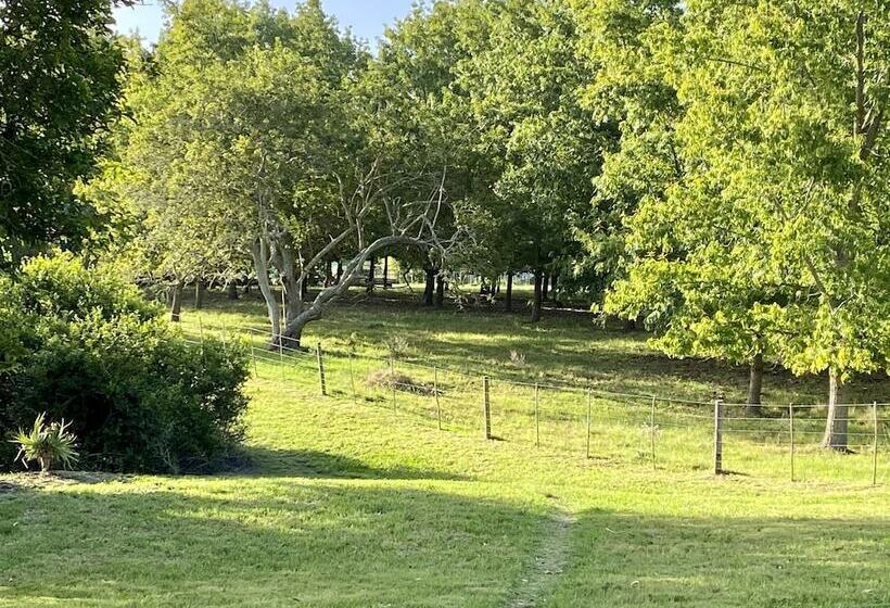 تختخواب و صبحانه Bella Manga Country Escape