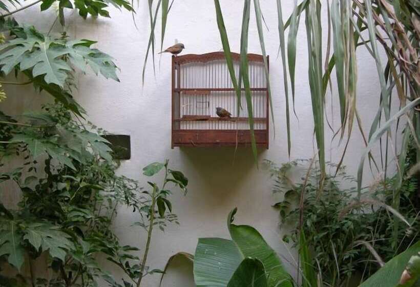 تختخواب و صبحانه Dar Zahia