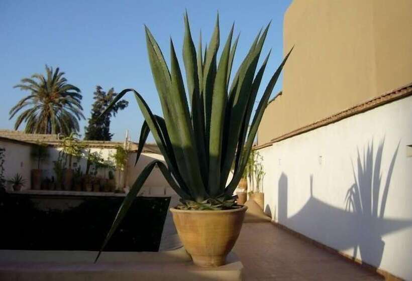 تختخواب و صبحانه Dar Zahia