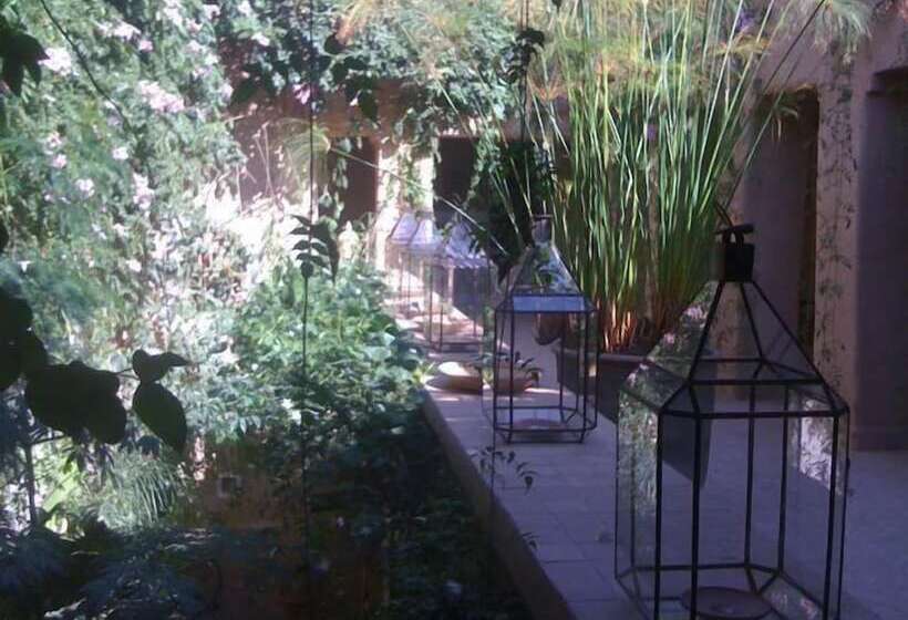 تختخواب و صبحانه Dar Zahia