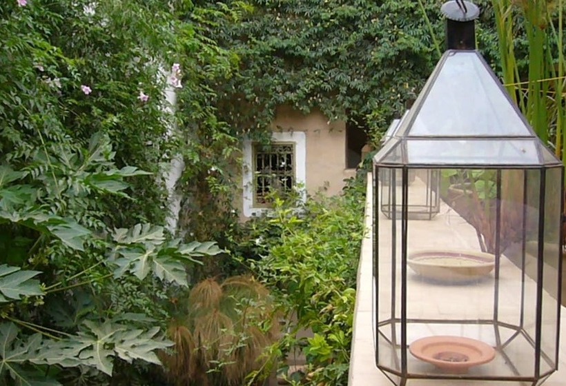 تختخواب و صبحانه Dar Zahia