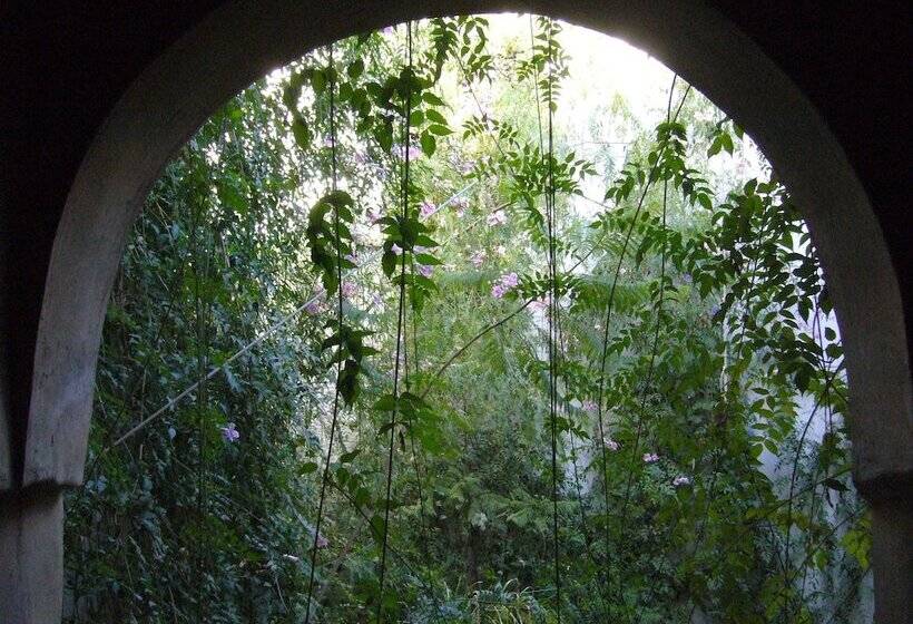 تختخواب و صبحانه Dar Zahia