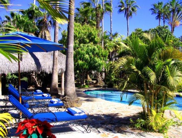 هتل Hacienda Todos Los Santos