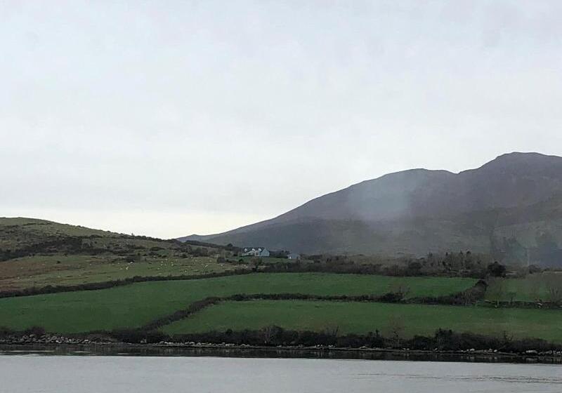 بنسيون O Connors Guesthouse