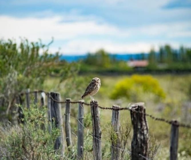 هتل Finca La Carmelita