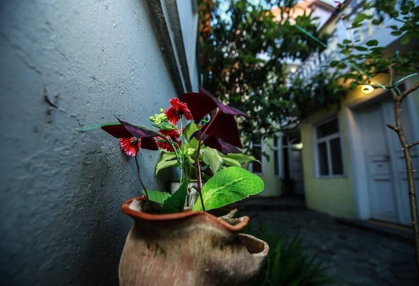Pension Basko
