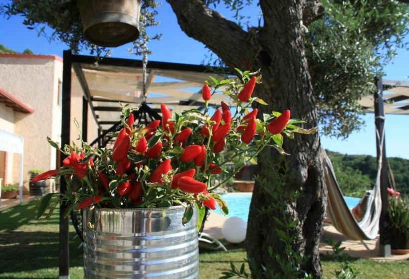 مبيت وإفطار Il Podere Dell Angelo Old Country House