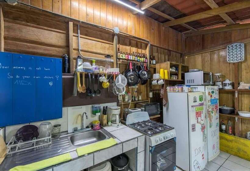 تختخواب و صبحانه Curi Hostel