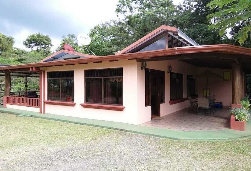 Blue Morpho   Hostel