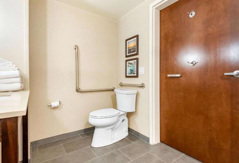 Отель Comfort Inn & Suites