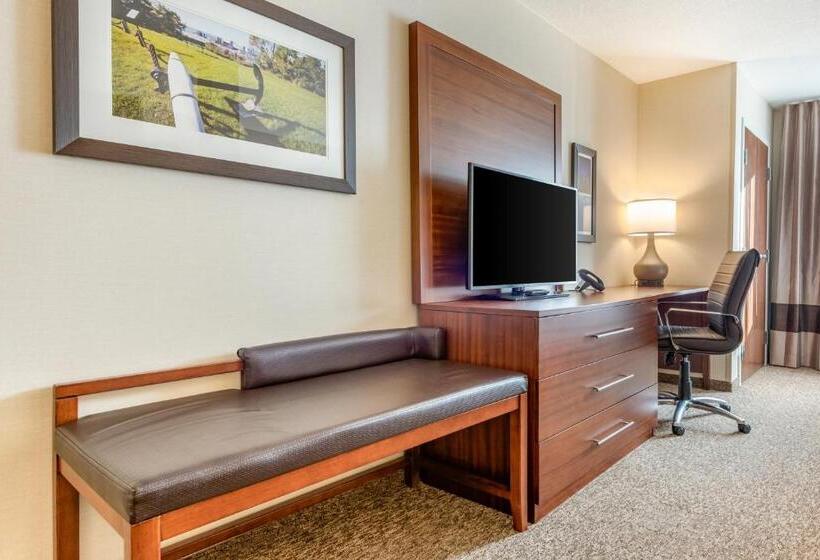 Отель Comfort Inn & Suites