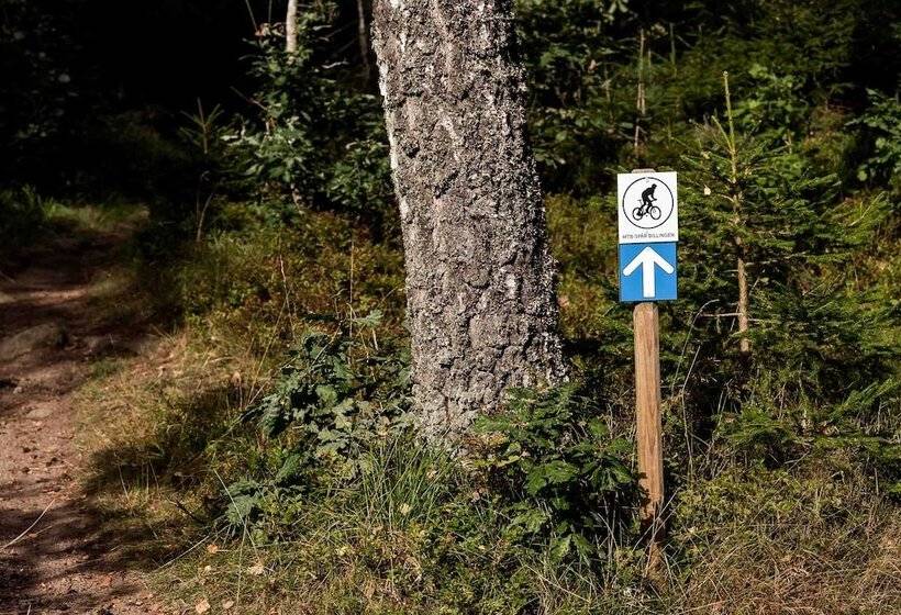 בית מלון כפרי Billingehus