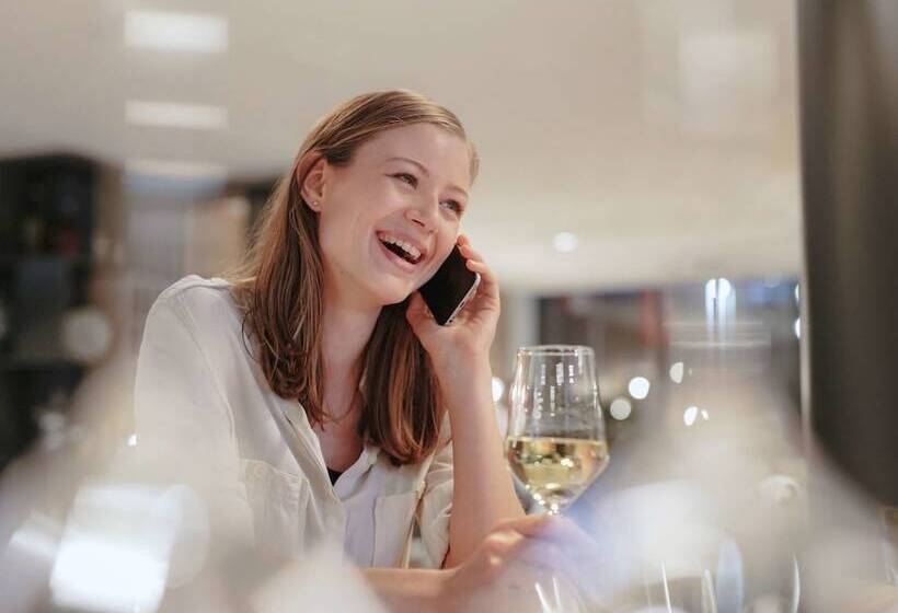 Hotell Ibis Zurich Adliswil