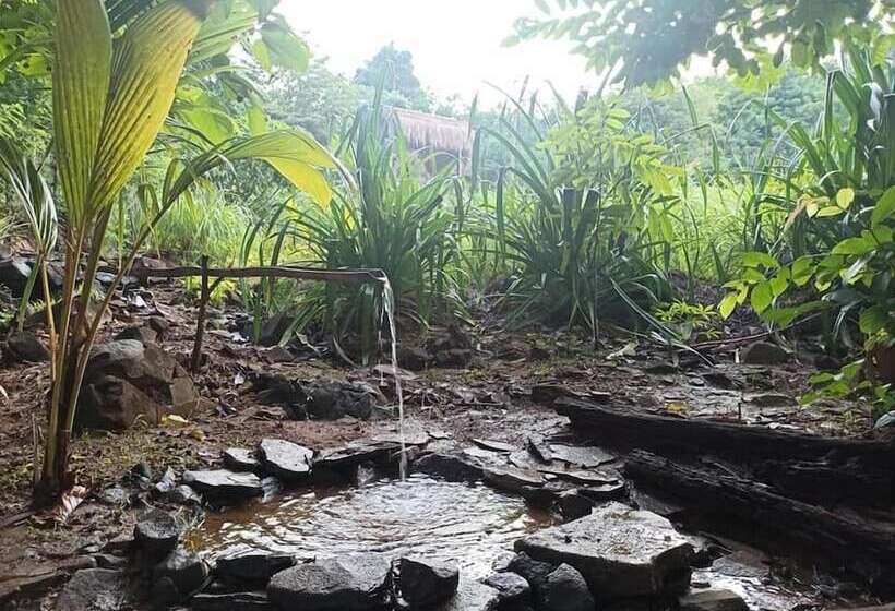 تختخواب و صبحانه Sten Lodge Eco Homestay