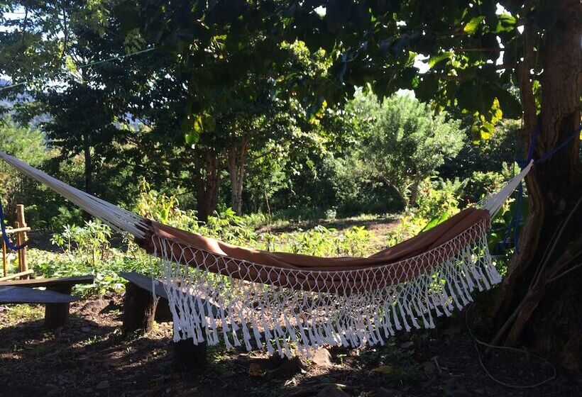 تختخواب و صبحانه Sten Lodge Eco Homestay