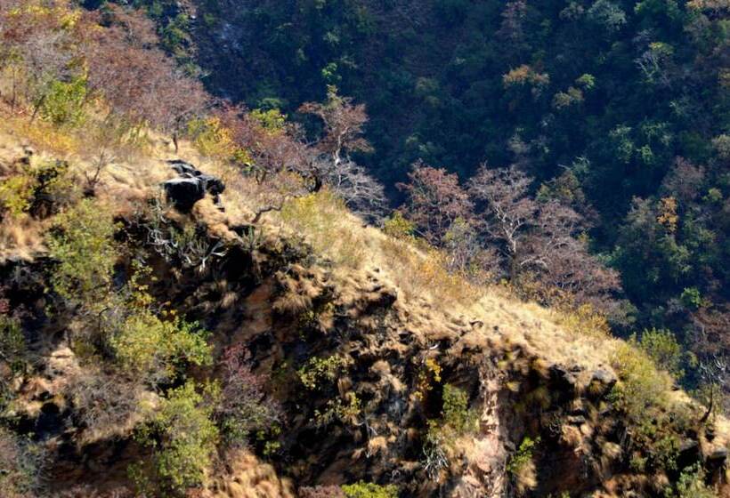 فندق Auranya The Mystical Himalayan Retreat