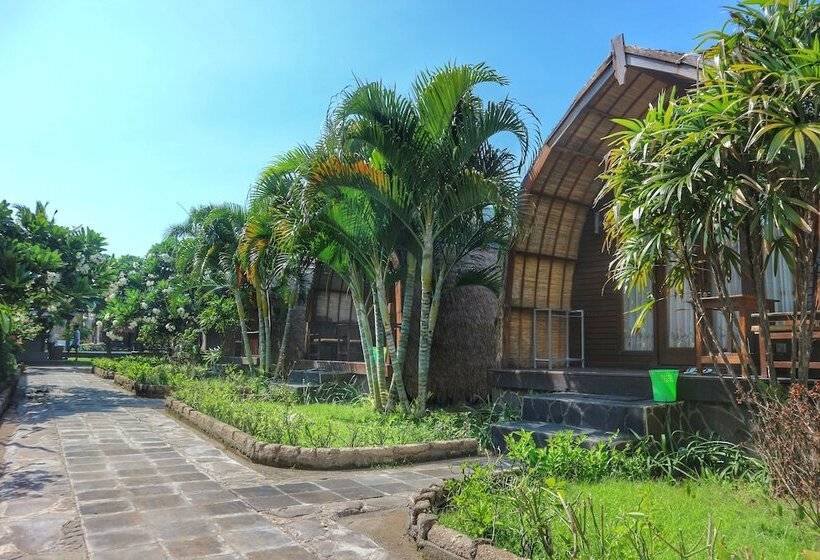 تختخواب و صبحانه Gilipaddy Resort