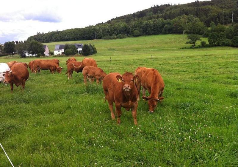 호텔 Müllisch's Hof