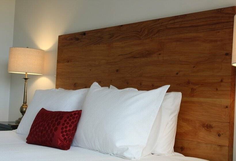 مبيت وإفطار Lavender Vale