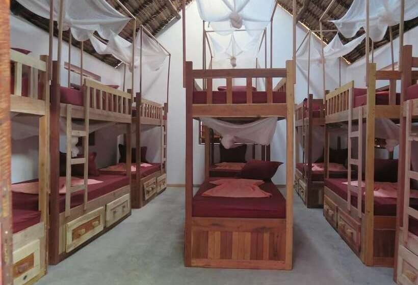 Youth Hostel