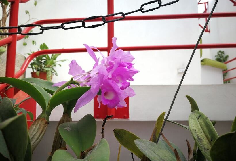 مبيت وإفطار Hojarascas