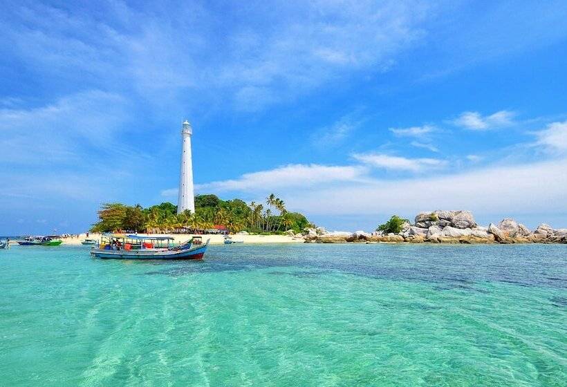 تختخواب و صبحانه Rock And Wreck Dive Resort