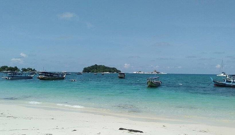 تختخواب و صبحانه Rock And Wreck Dive Resort