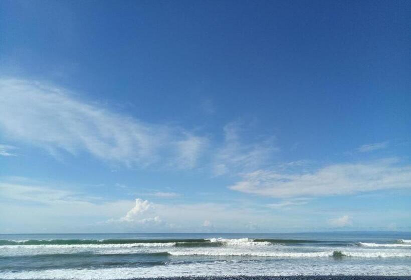 민박 Emir Surfcamp