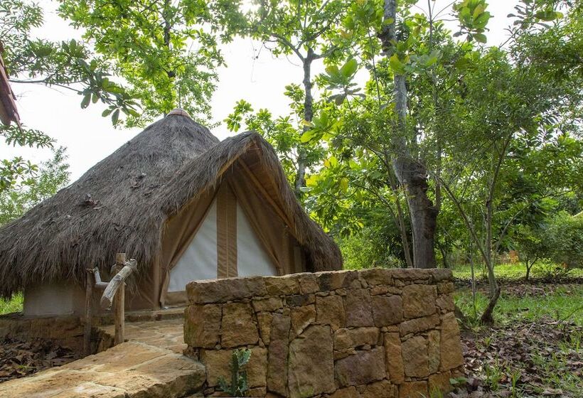 هتل Nativo Glamping