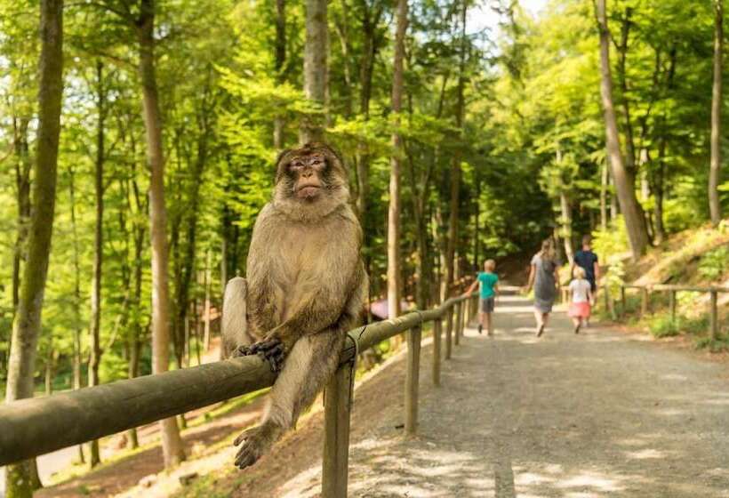 ホテル Lowenstein