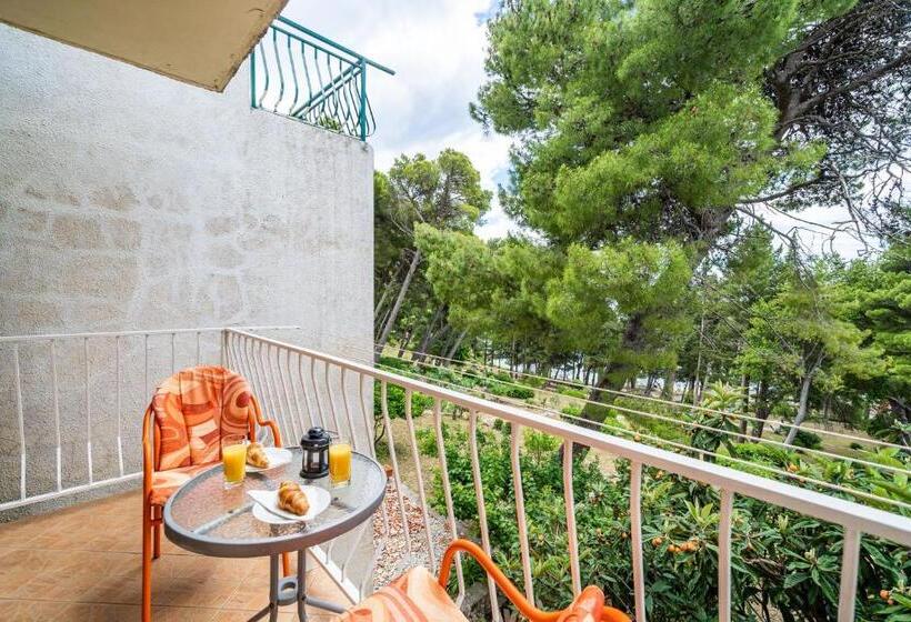 بنسيون Apartment & Rooms Papa