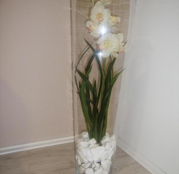 پانسیون Smeštaj Olivera Niška Banja