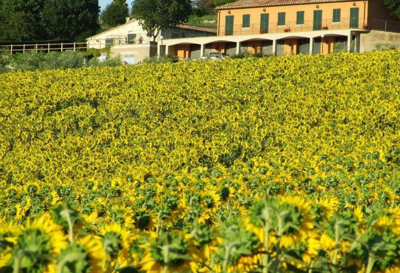 هتل روستایی Bio Agriturismo Il Torrione