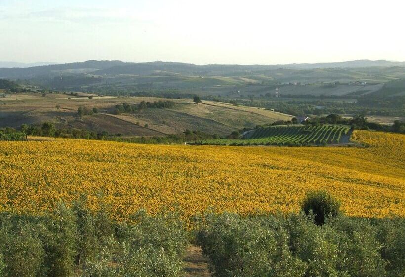 Сельский отель Bio Agriturismo Il Torrione