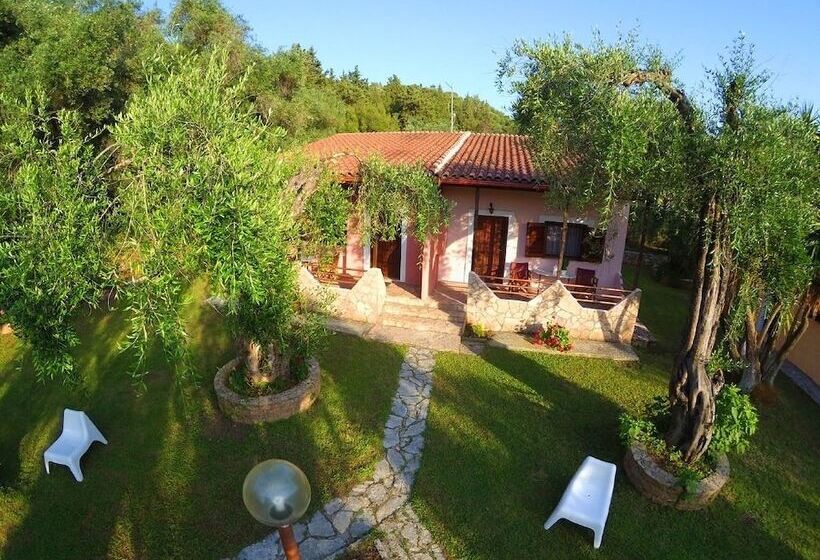 پانسیون Anneta Studios