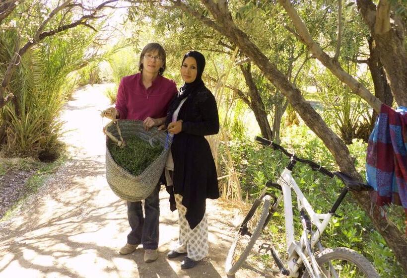 پانسیون Auberge Migusta